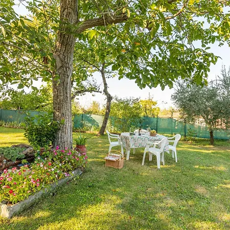 Apartment Mongili - La Quercia Chiusi