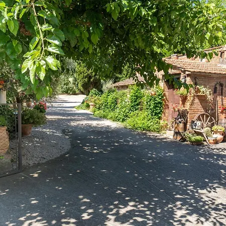 Mongili - La Quercia